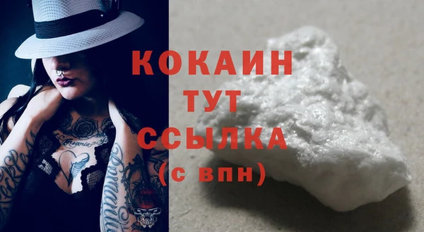 СК Каменка